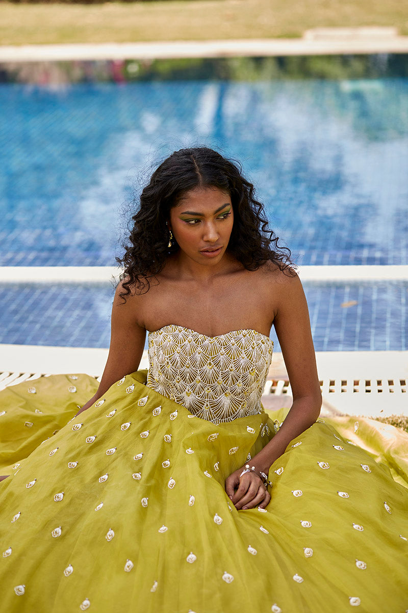 Yellow & White Embroidered Gown