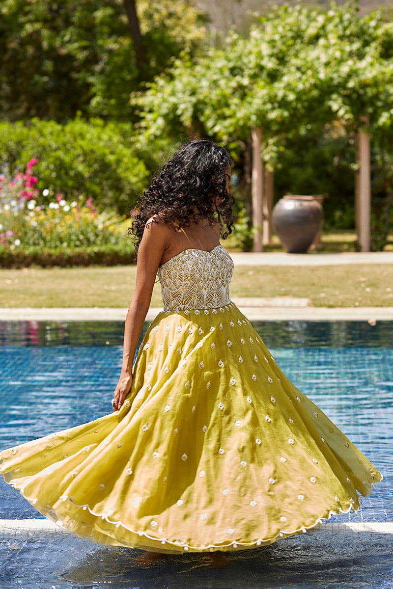 Yellow & White Embroidered Gown