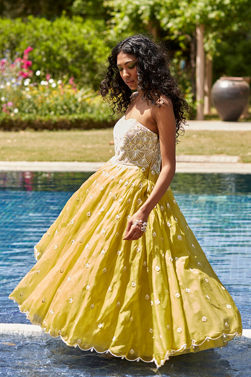 Yellow & White Embroidered Gown