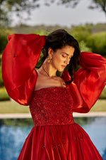 Red Embroidered Gown